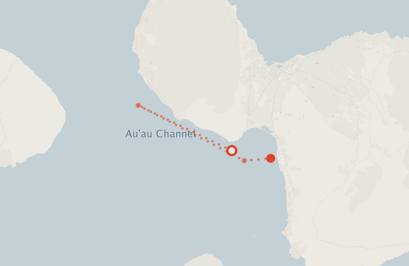 Activity map — real sighting points on an OpenStreetMap basemap