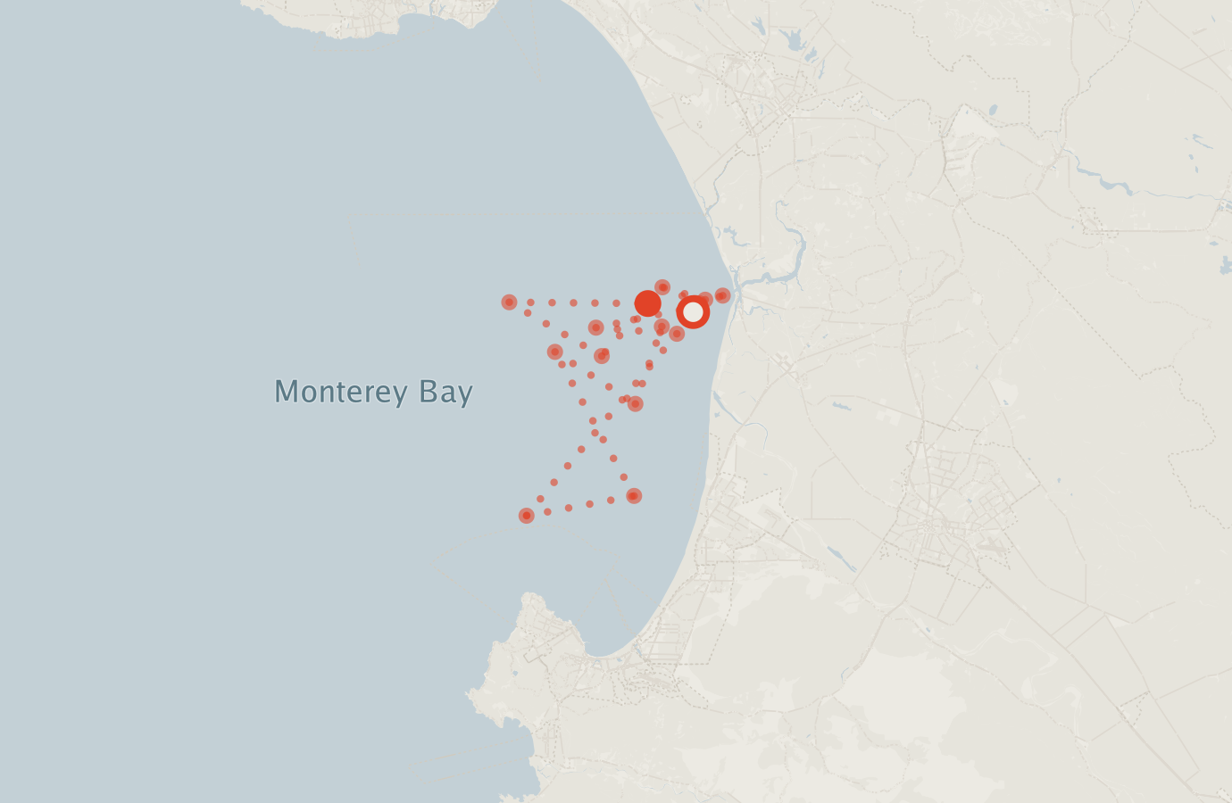 Activity map — real sighting points on an OpenStreetMap basemap