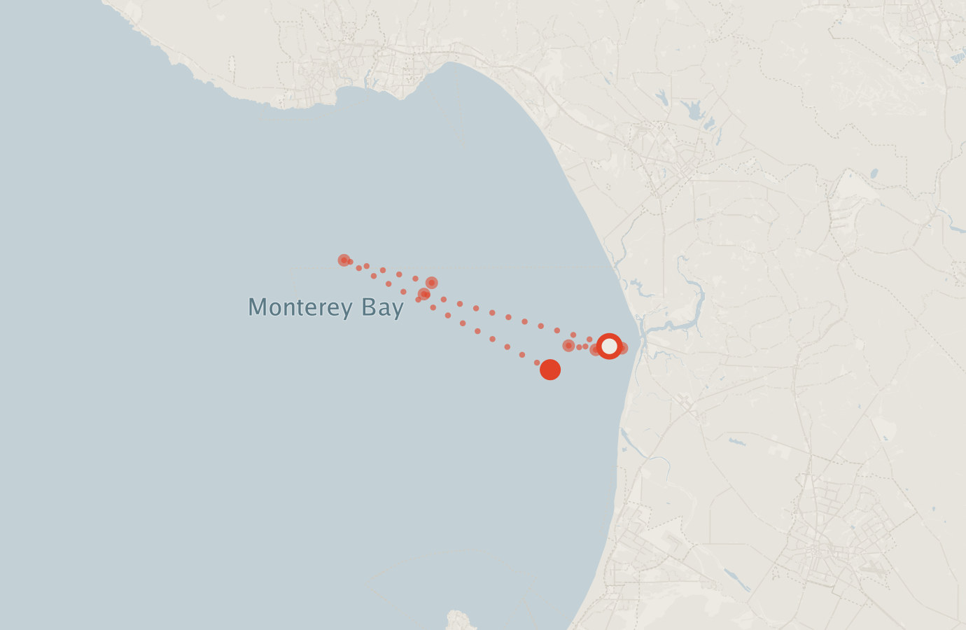Activity map — real sighting points on an OpenStreetMap basemap
