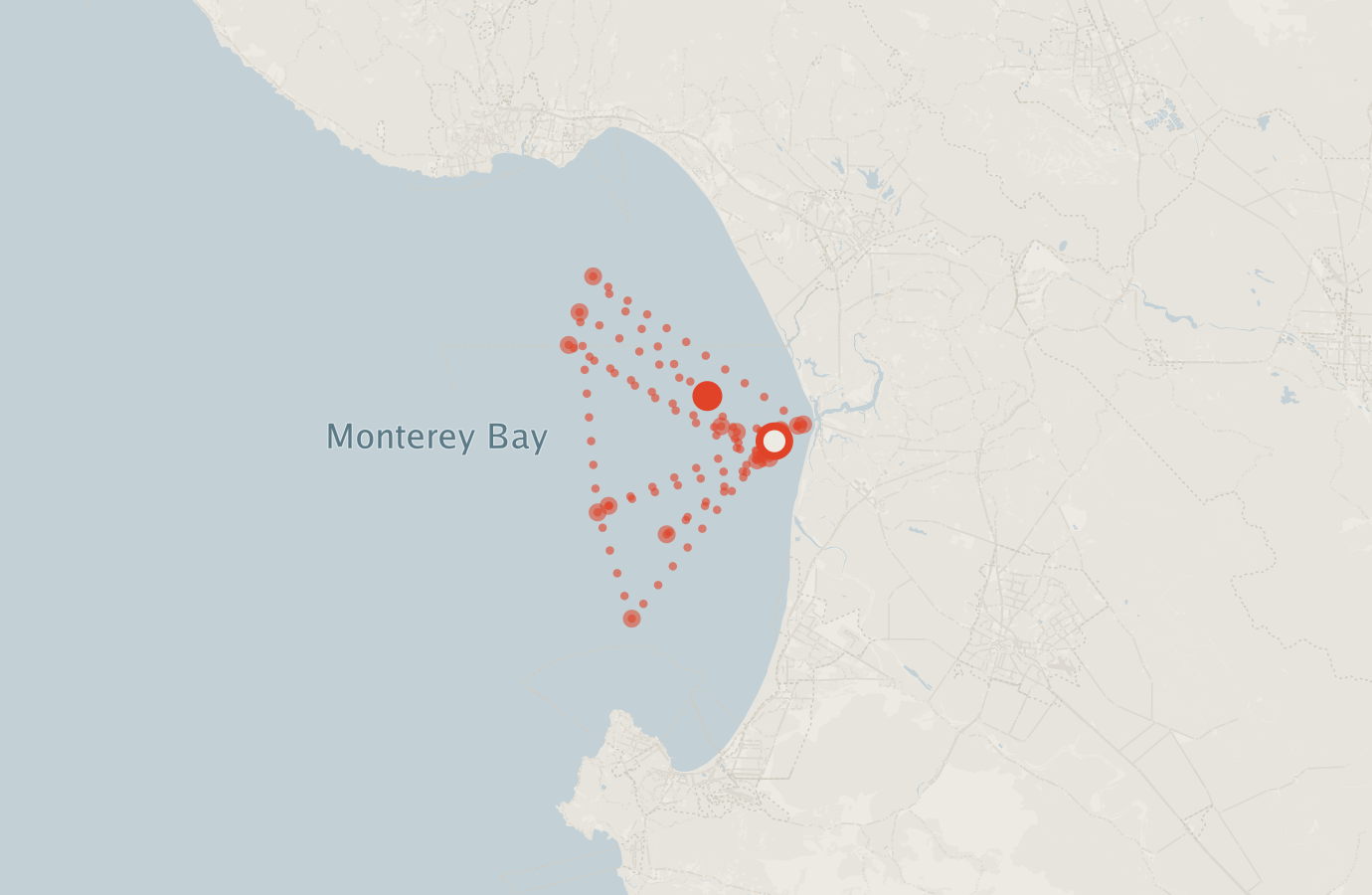 Activity map — real sighting points on an OpenStreetMap basemap