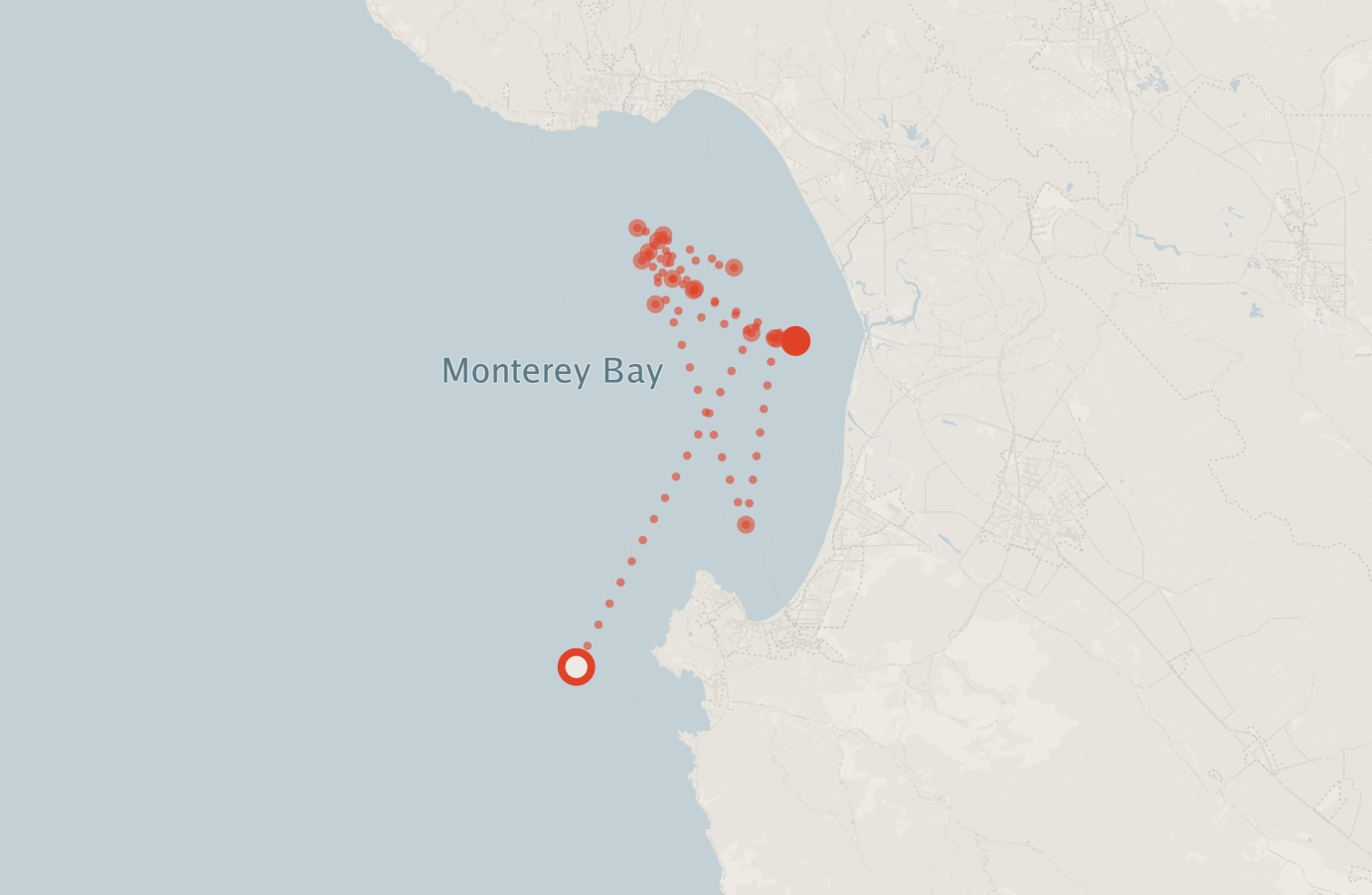 Activity map — real sighting points on an OpenStreetMap basemap