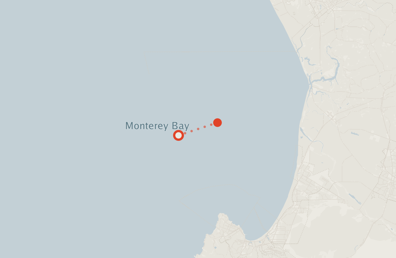 Activity map — real sighting points on an OpenStreetMap basemap