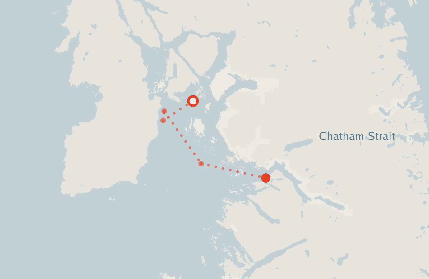 Activity map — real sighting points on an OpenStreetMap basemap