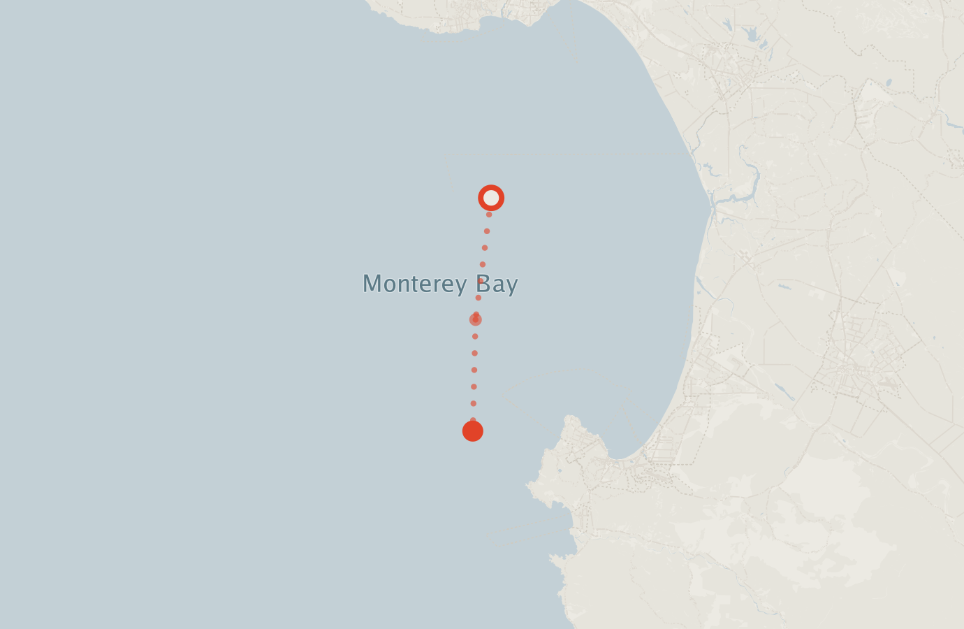 Activity map — real sighting points on an OpenStreetMap basemap