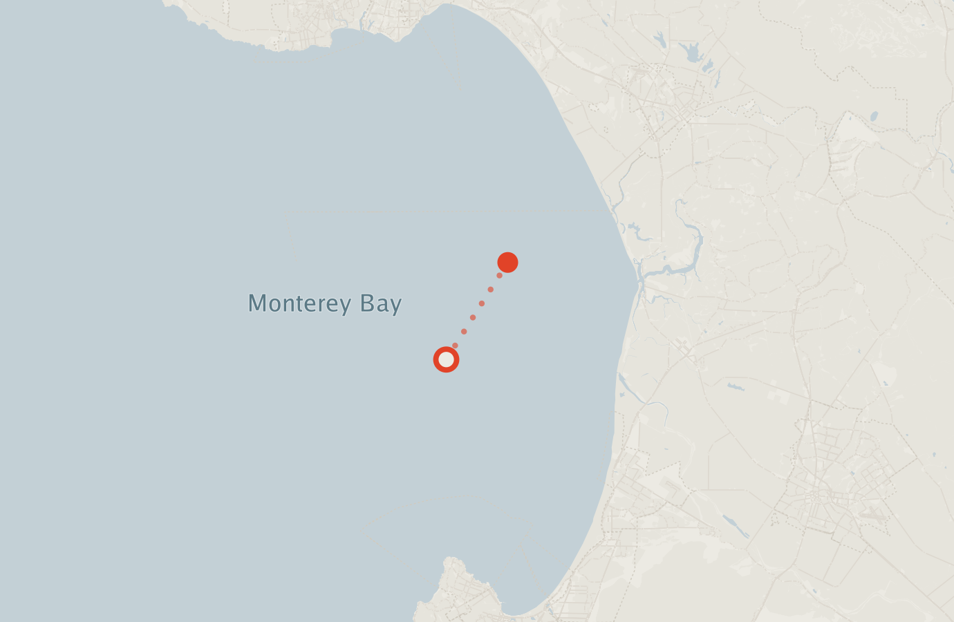Activity map — real sighting points on an OpenStreetMap basemap