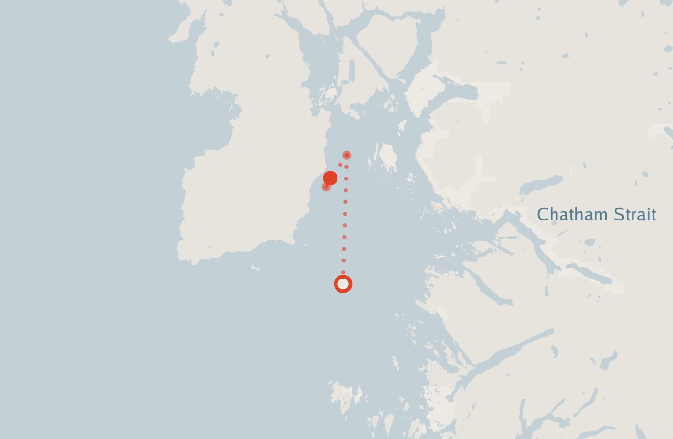 Activity map — real sighting points on an OpenStreetMap basemap