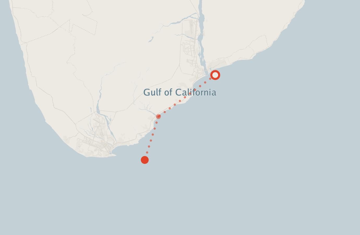 Activity map — real sighting points on an OpenStreetMap basemap