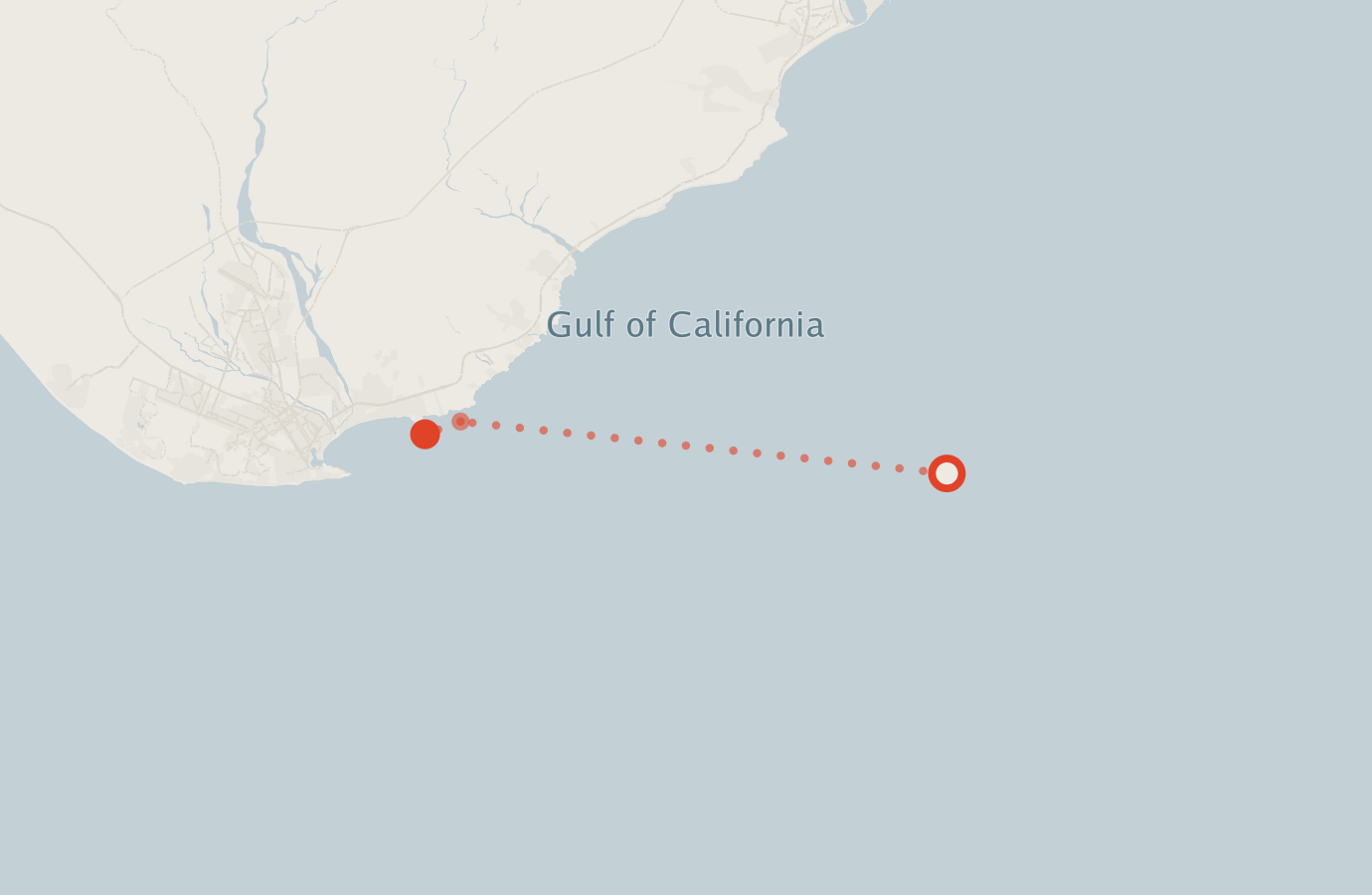 Activity map — real sighting points on an OpenStreetMap basemap