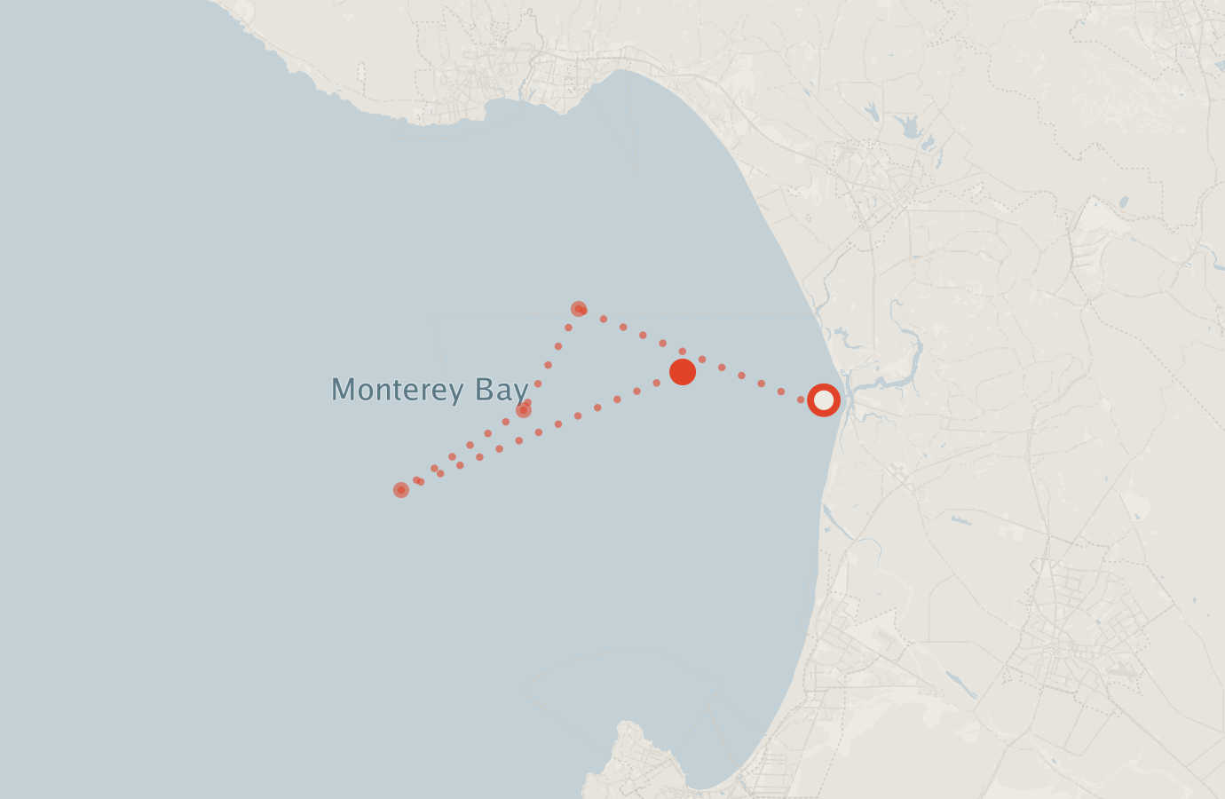 Activity map — real sighting points on an OpenStreetMap basemap