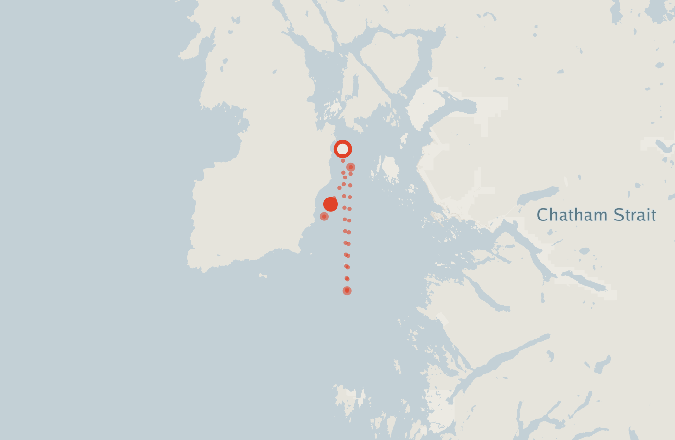 Activity map — real sighting points on an OpenStreetMap basemap