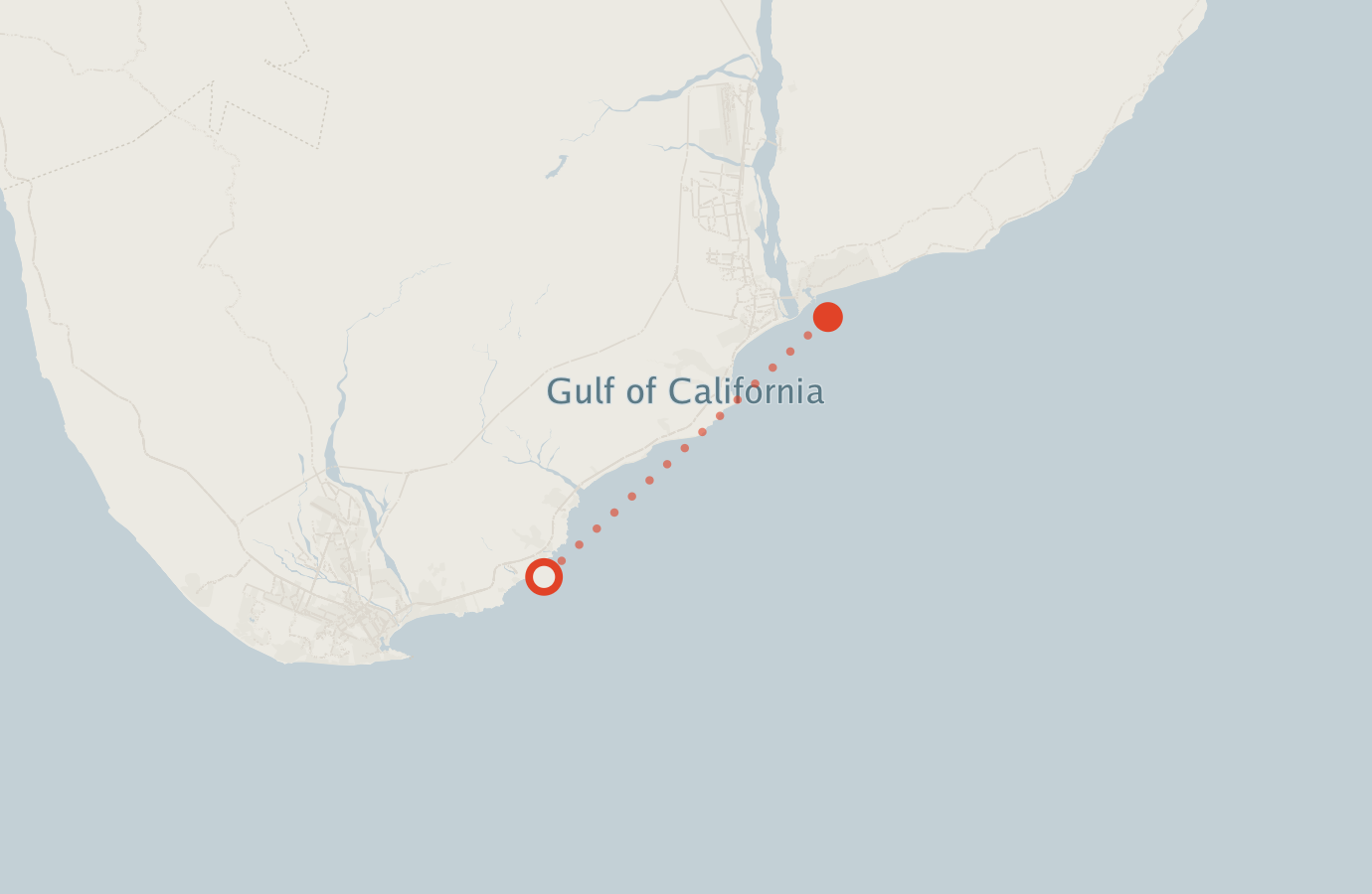 Activity map — real sighting points on an OpenStreetMap basemap