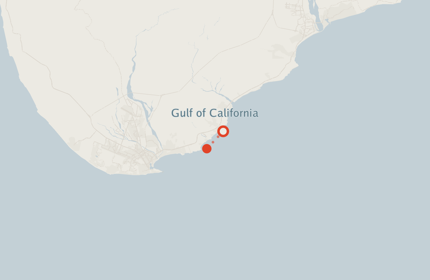 Activity map — real sighting points on an OpenStreetMap basemap