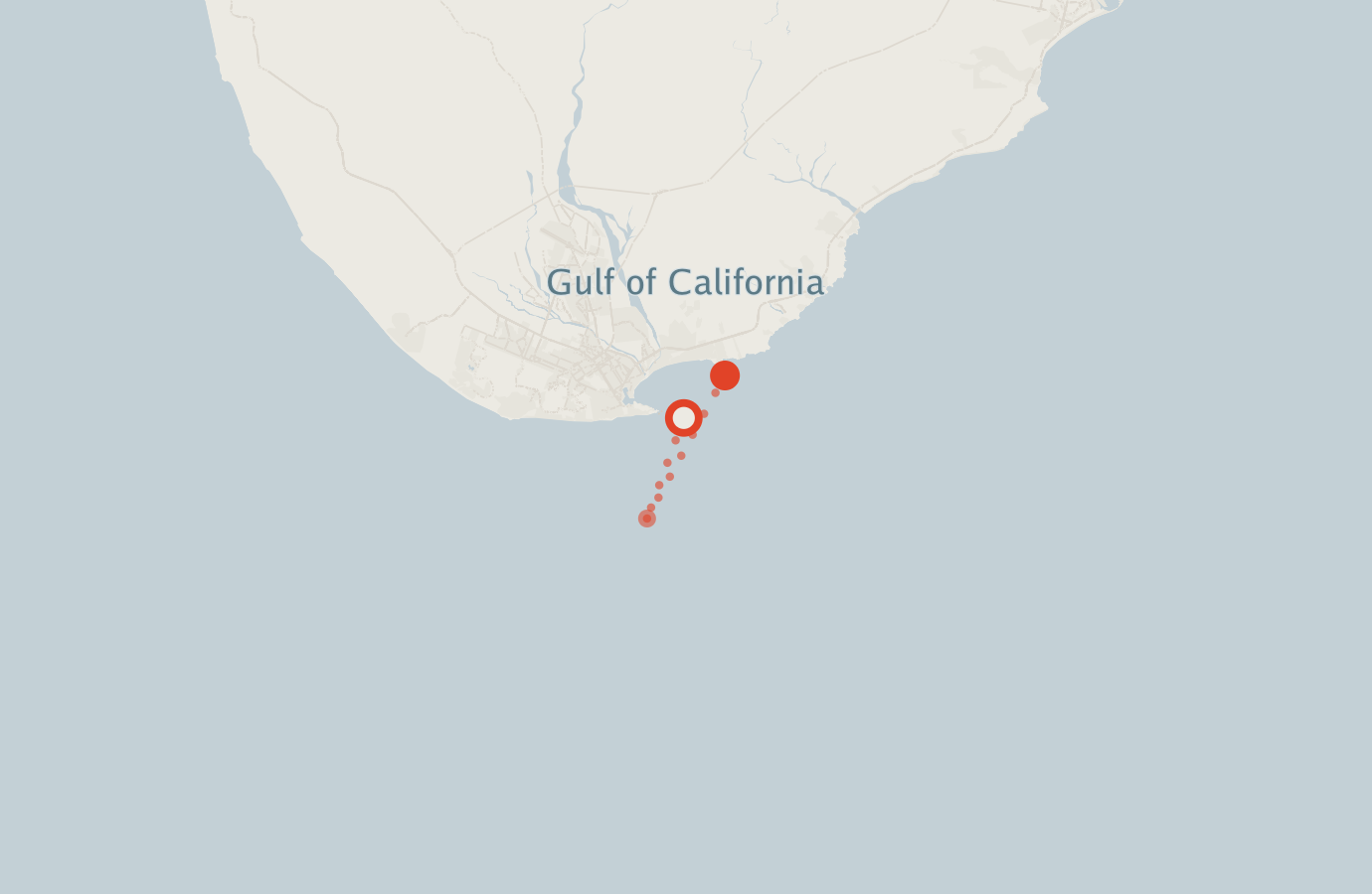 Activity map — real sighting points on an OpenStreetMap basemap