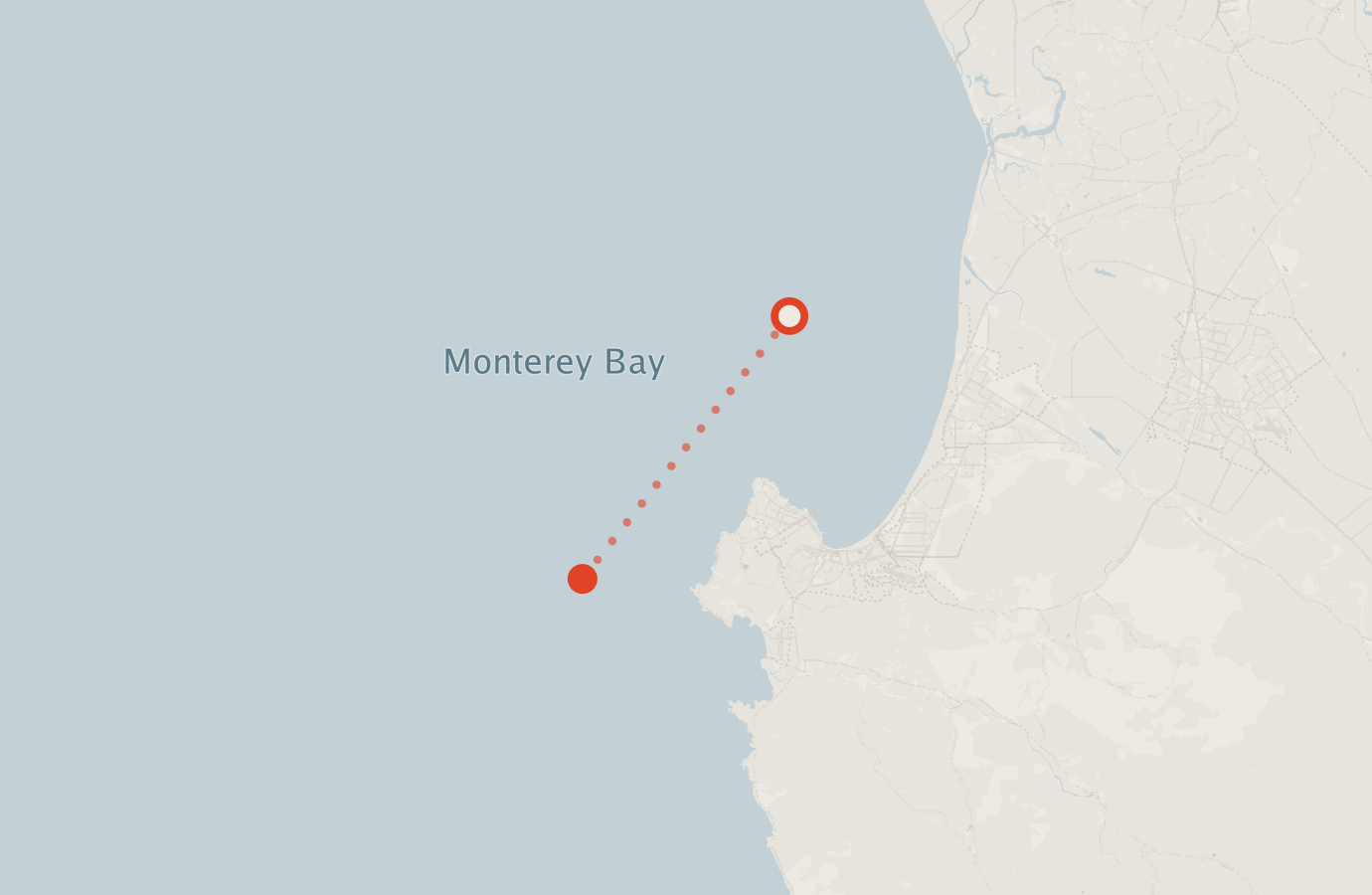 Activity map — real sighting points on an OpenStreetMap basemap