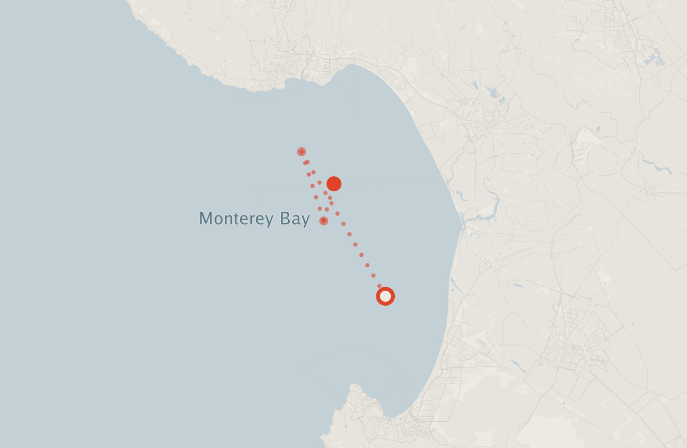 Activity map — real sighting points on an OpenStreetMap basemap