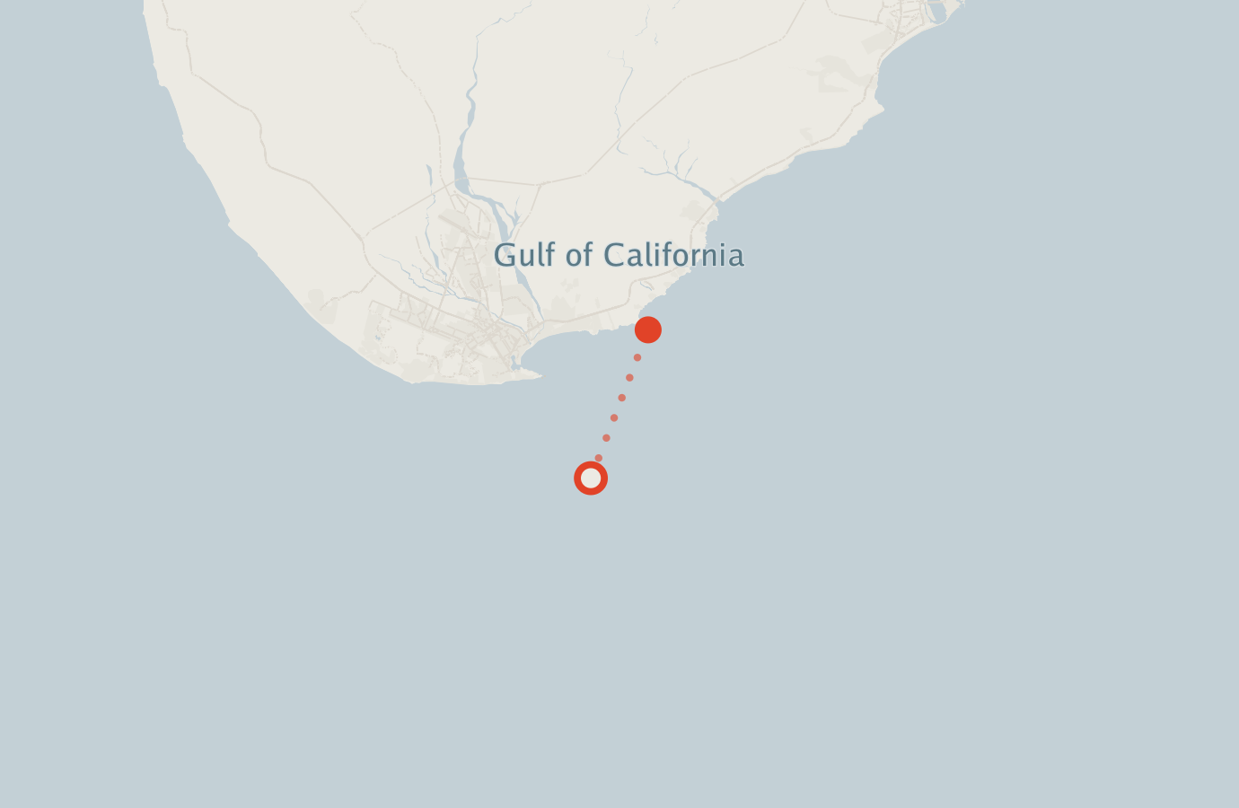 Activity map — real sighting points on an OpenStreetMap basemap