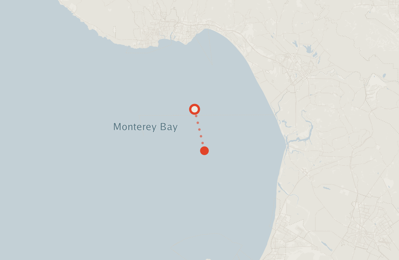Activity map — real sighting points on an OpenStreetMap basemap