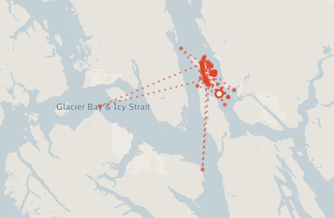 Activity map — real sighting points on an OpenStreetMap basemap