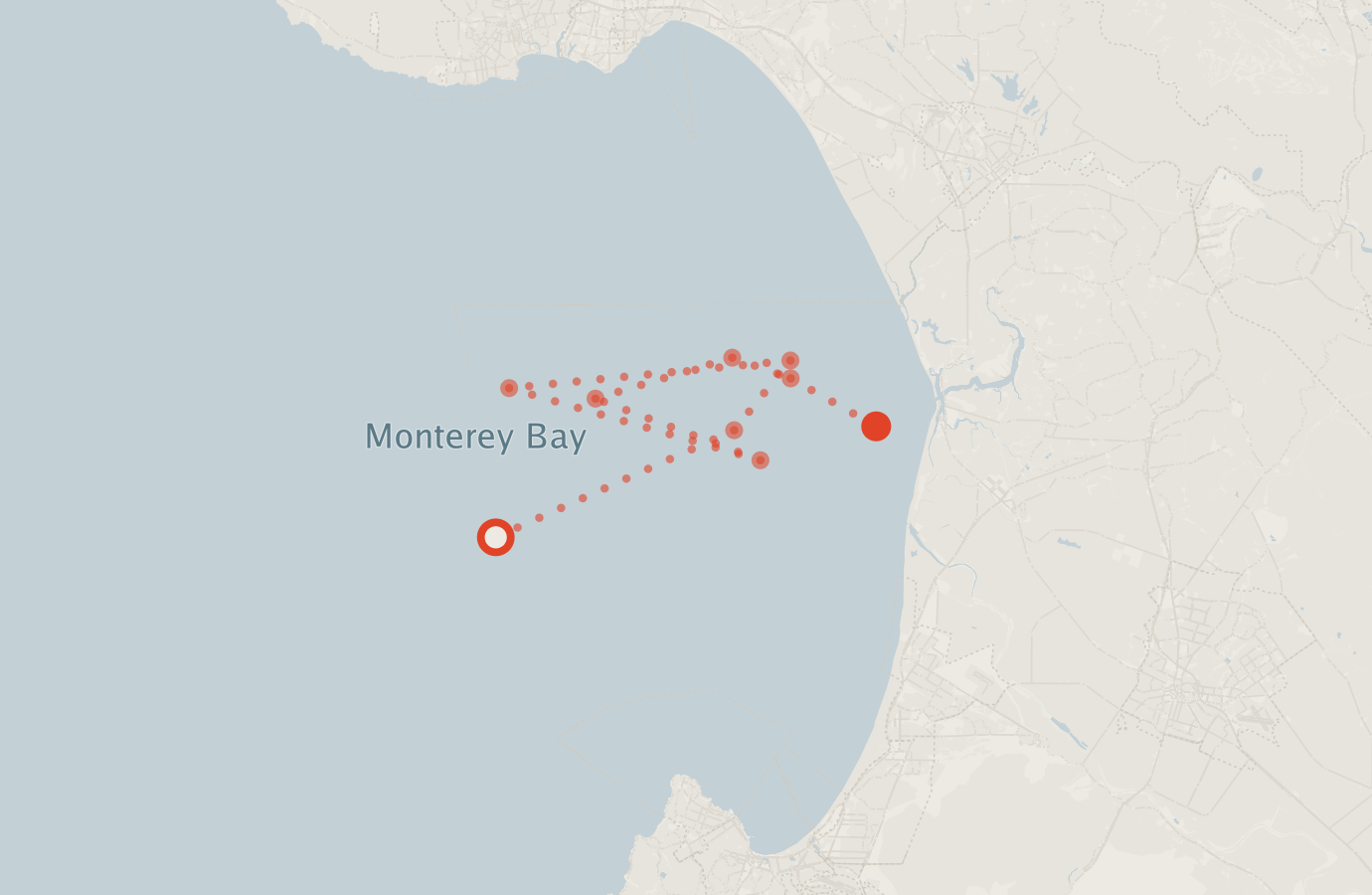 Activity map — real sighting points on an OpenStreetMap basemap