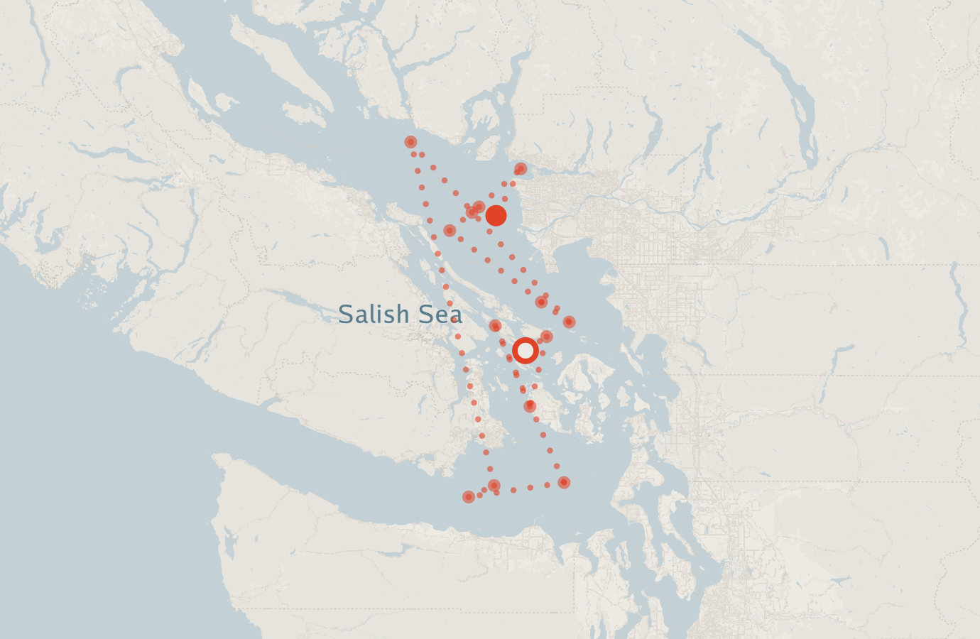 Activity map — real sighting points on an OpenStreetMap basemap