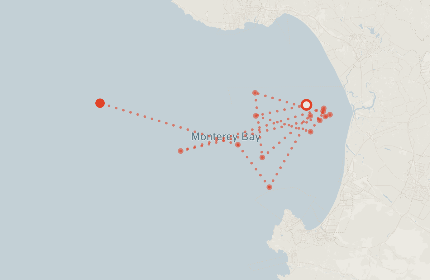 Activity map — real sighting points on an OpenStreetMap basemap