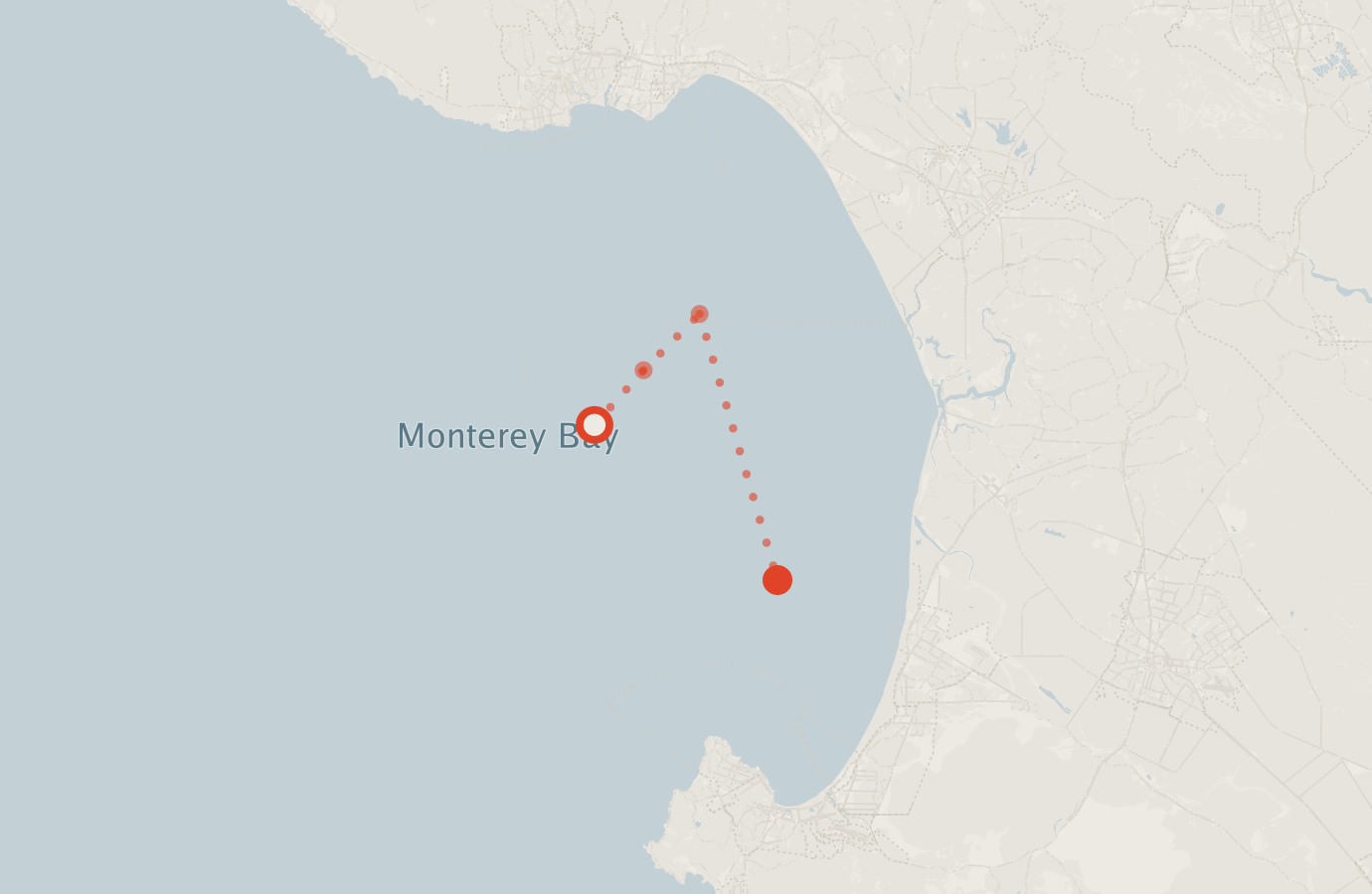 Activity map — real sighting points on an OpenStreetMap basemap