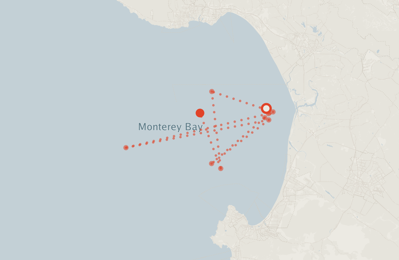 Activity map — real sighting points on an OpenStreetMap basemap