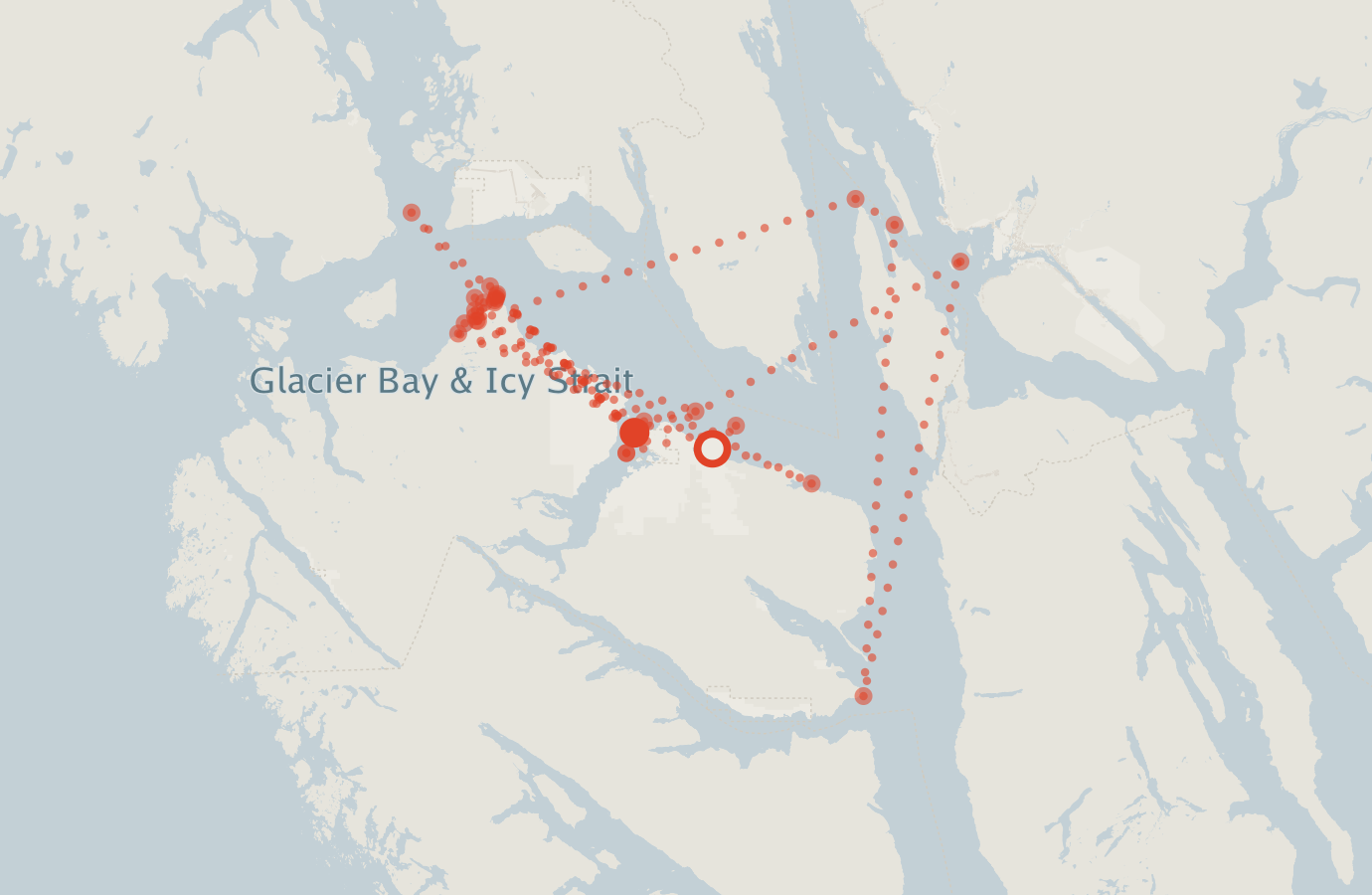 Activity map — real sighting points on an OpenStreetMap basemap