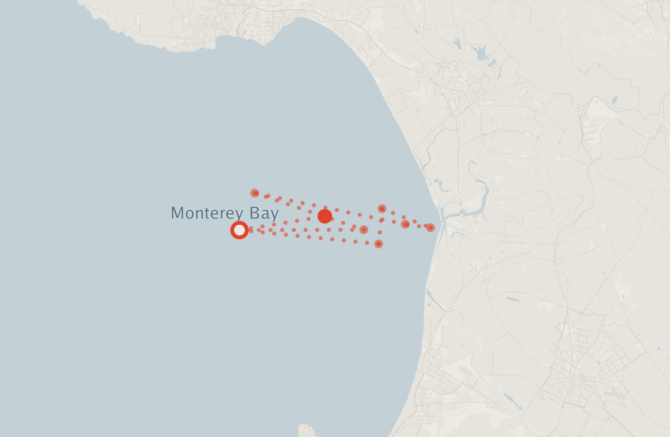 Activity map — real sighting points on an OpenStreetMap basemap