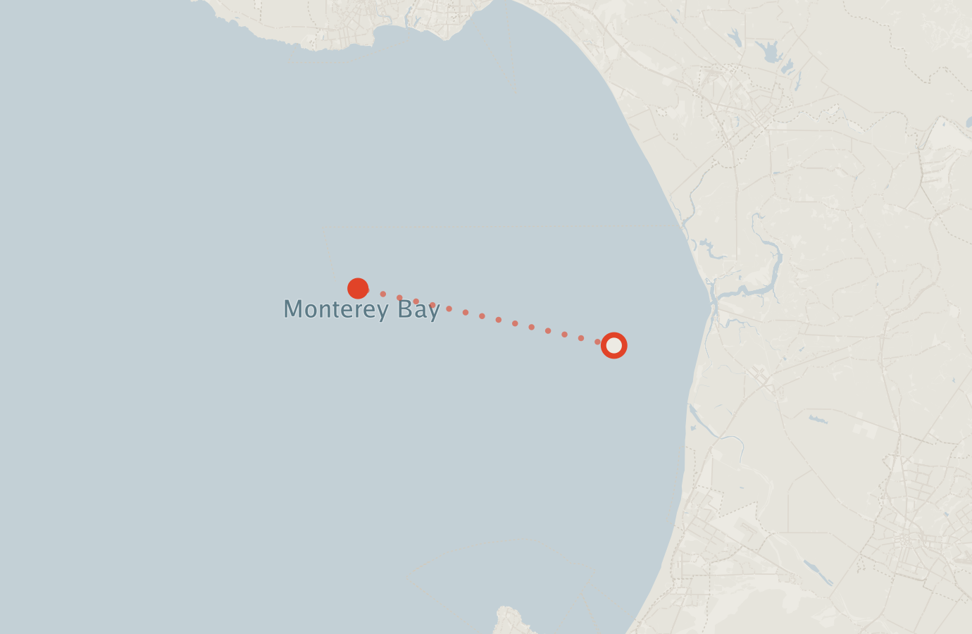 Activity map — real sighting points on an OpenStreetMap basemap
