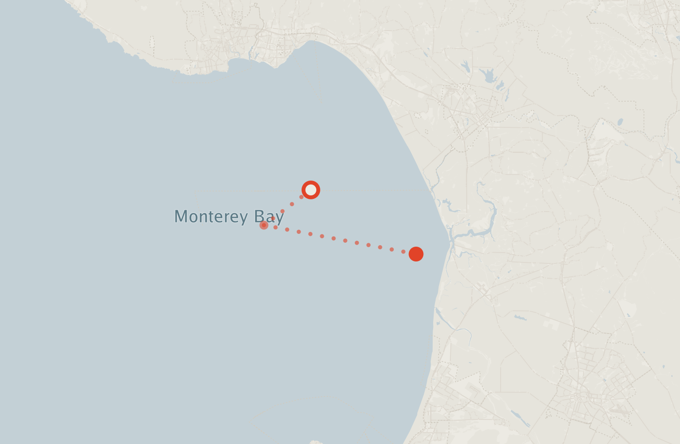 Activity map — real sighting points on an OpenStreetMap basemap