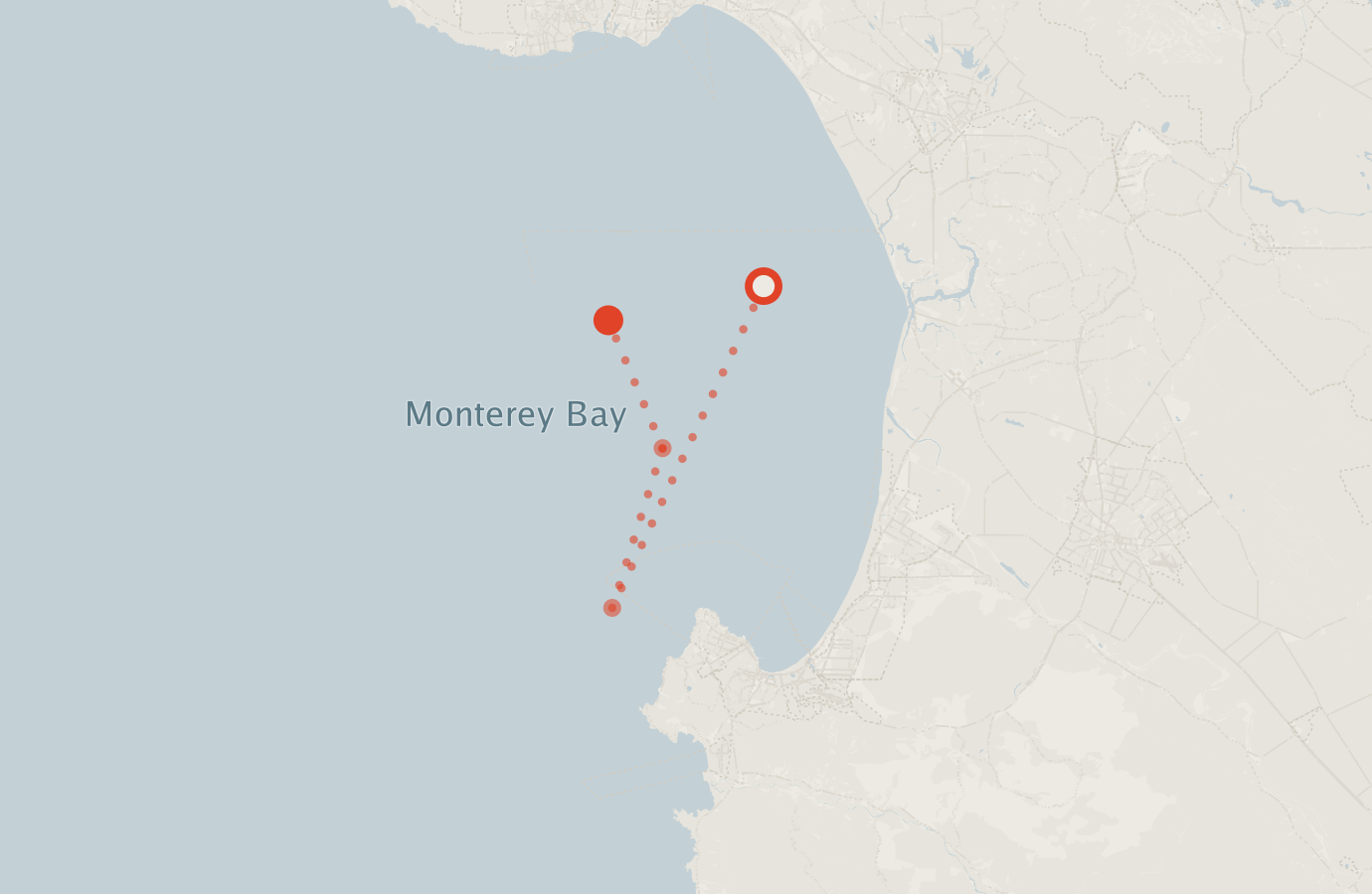 Activity map — real sighting points on an OpenStreetMap basemap