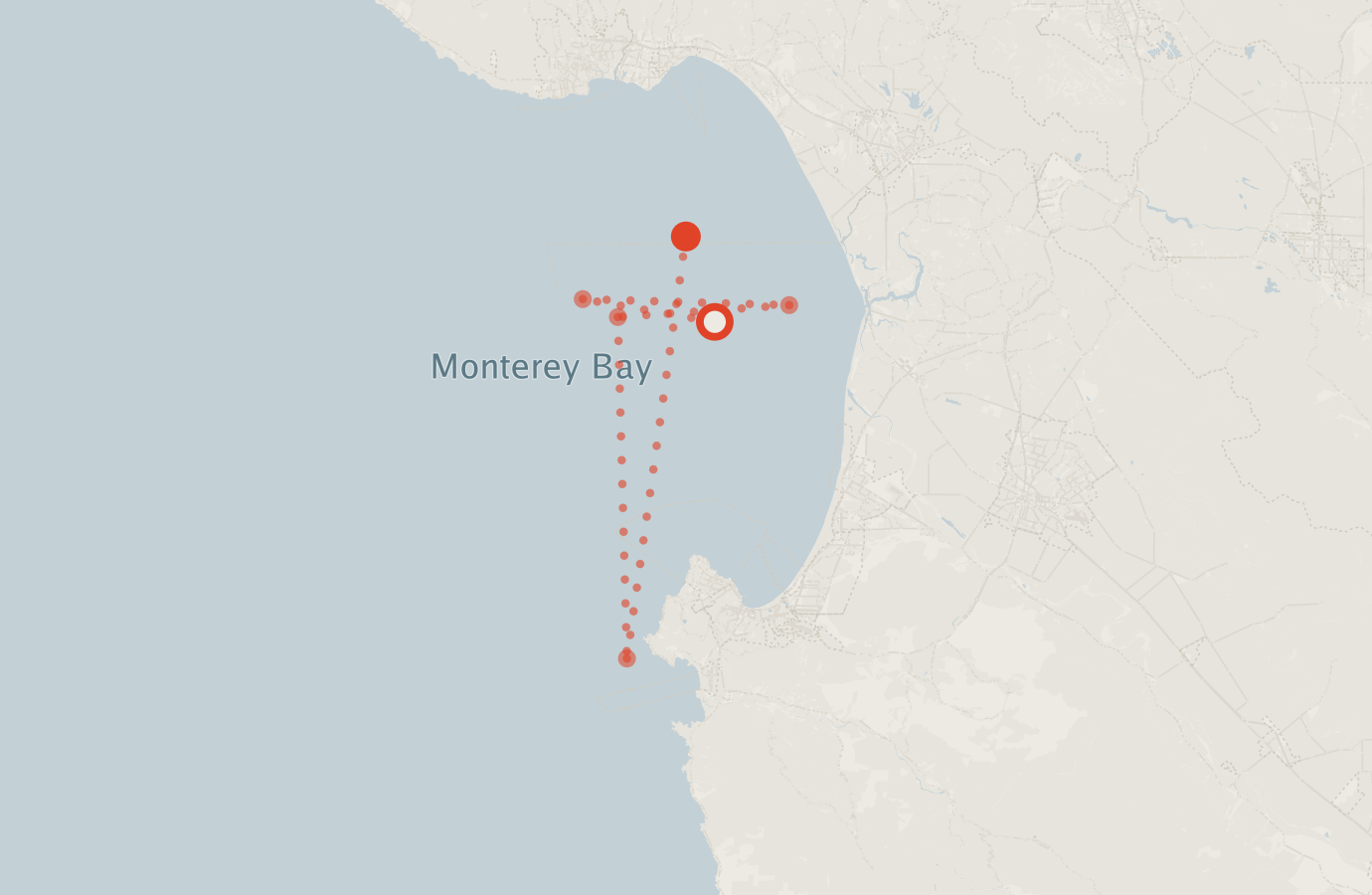 Activity map — real sighting points on an OpenStreetMap basemap