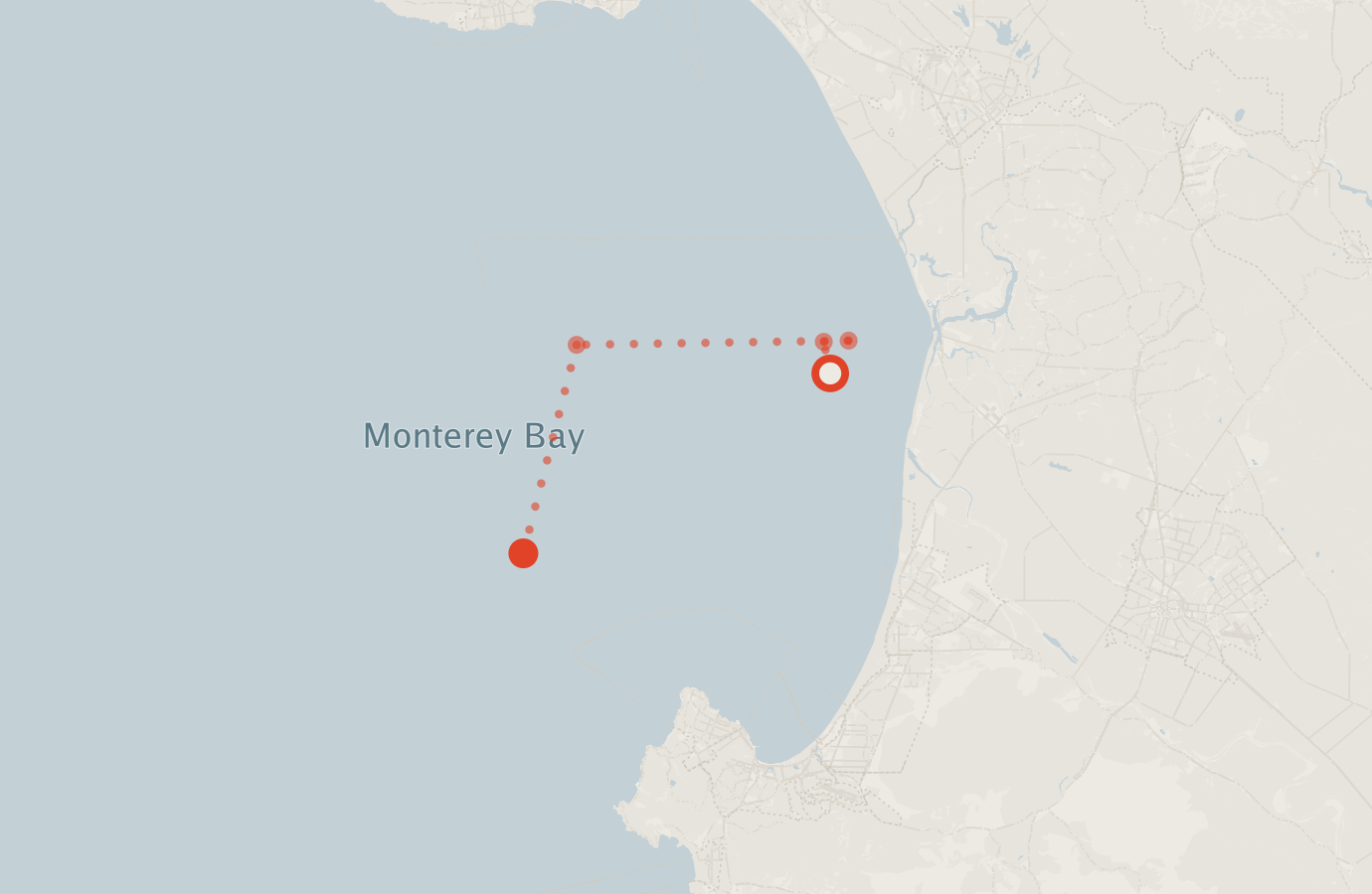 Activity map — real sighting points on an OpenStreetMap basemap