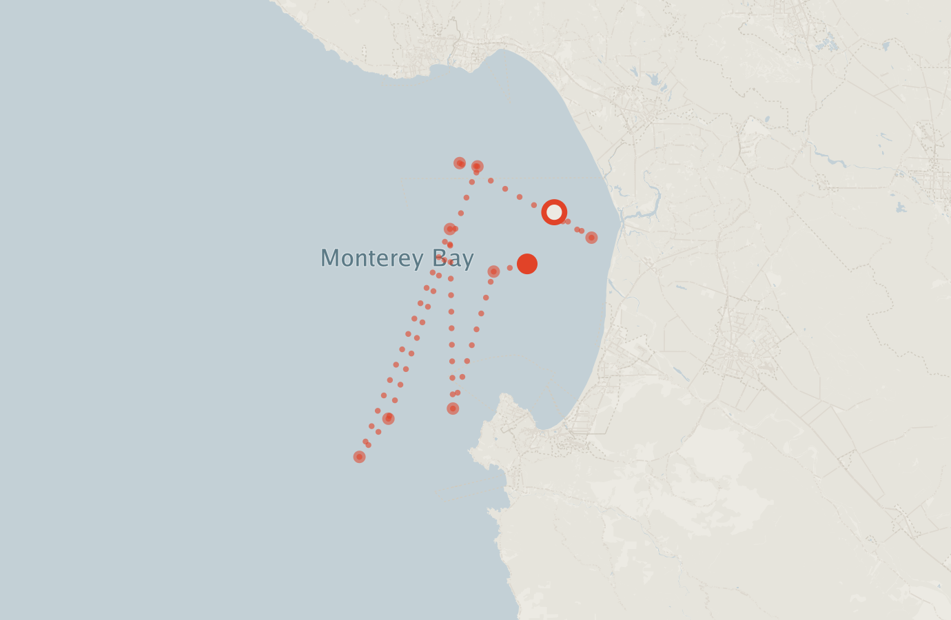 Activity map — real sighting points on an OpenStreetMap basemap