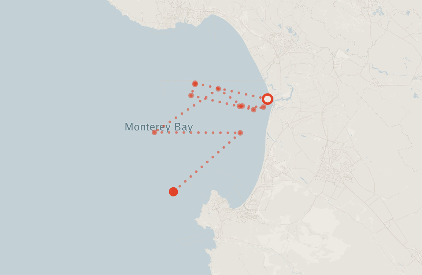 Activity map — real sighting points on an OpenStreetMap basemap