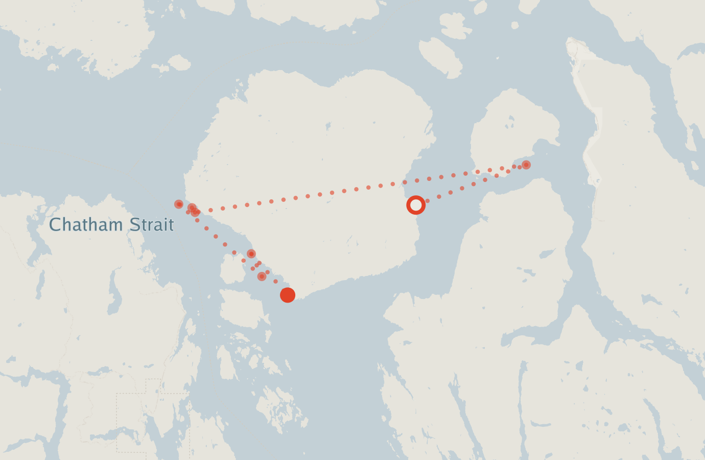 Activity map — real sighting points on an OpenStreetMap basemap