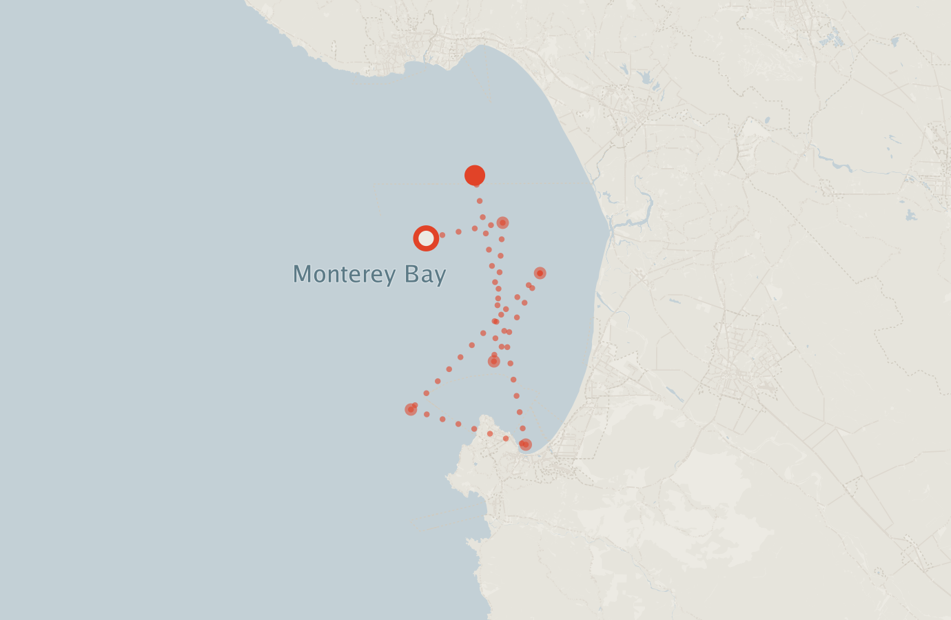 Activity map — real sighting points on an OpenStreetMap basemap