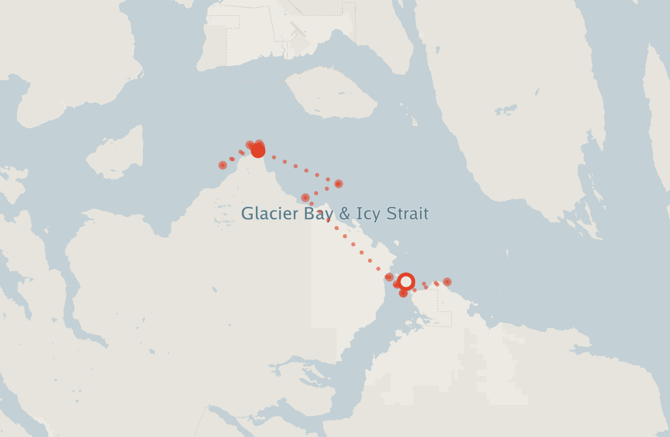 Activity map — real sighting points on an OpenStreetMap basemap