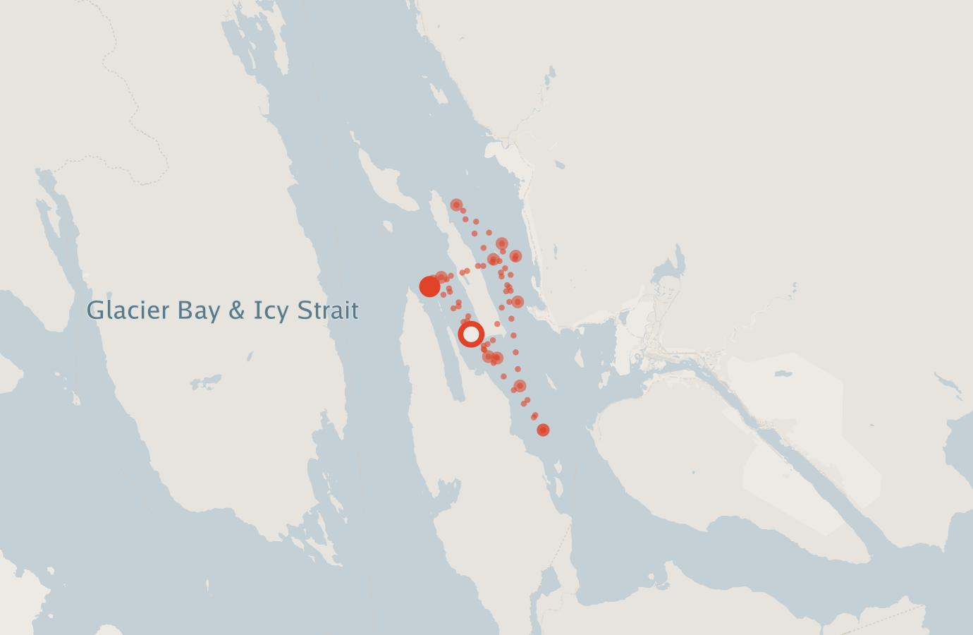 Activity map — real sighting points on an OpenStreetMap basemap