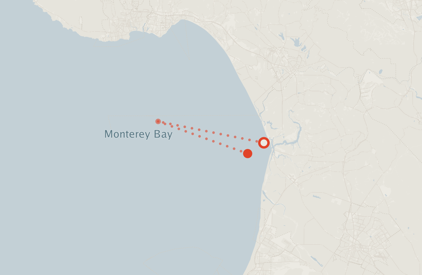 Activity map — real sighting points on an OpenStreetMap basemap