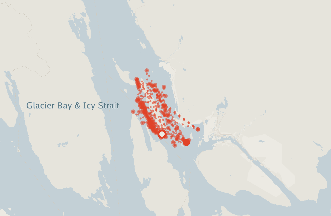 Activity map — real sighting points on an OpenStreetMap basemap