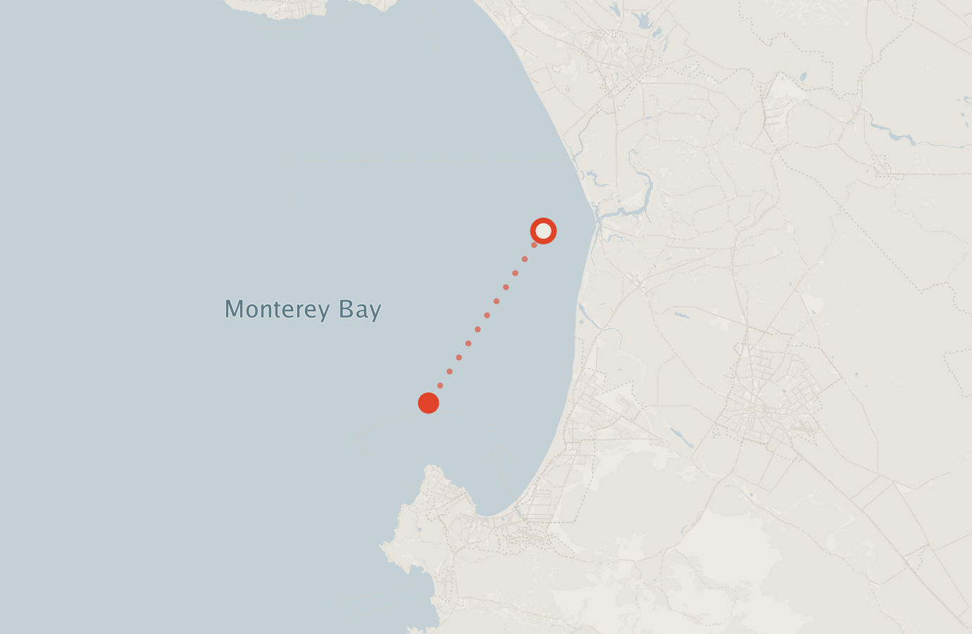 Activity map — real sighting points on an OpenStreetMap basemap