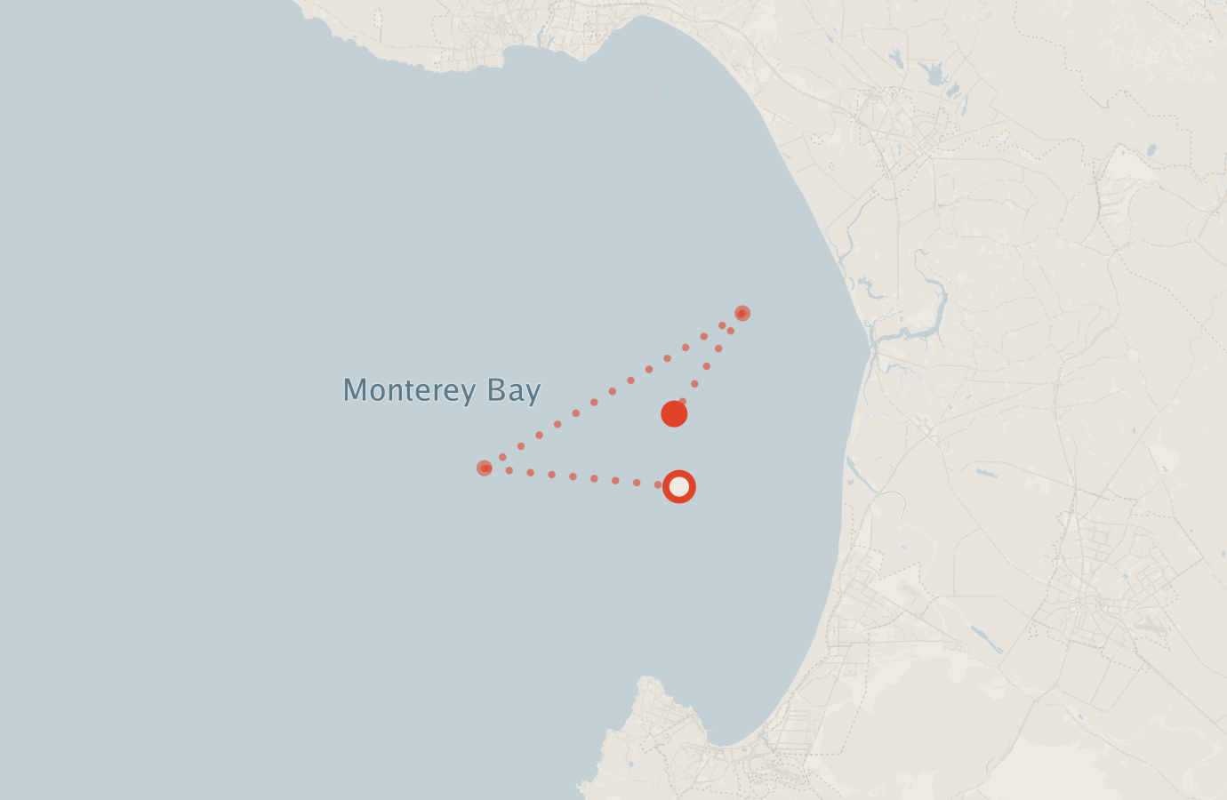 Activity map — real sighting points on an OpenStreetMap basemap