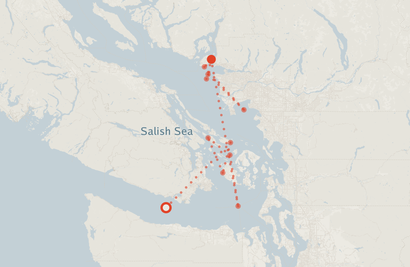 Activity map — real sighting points on an OpenStreetMap basemap