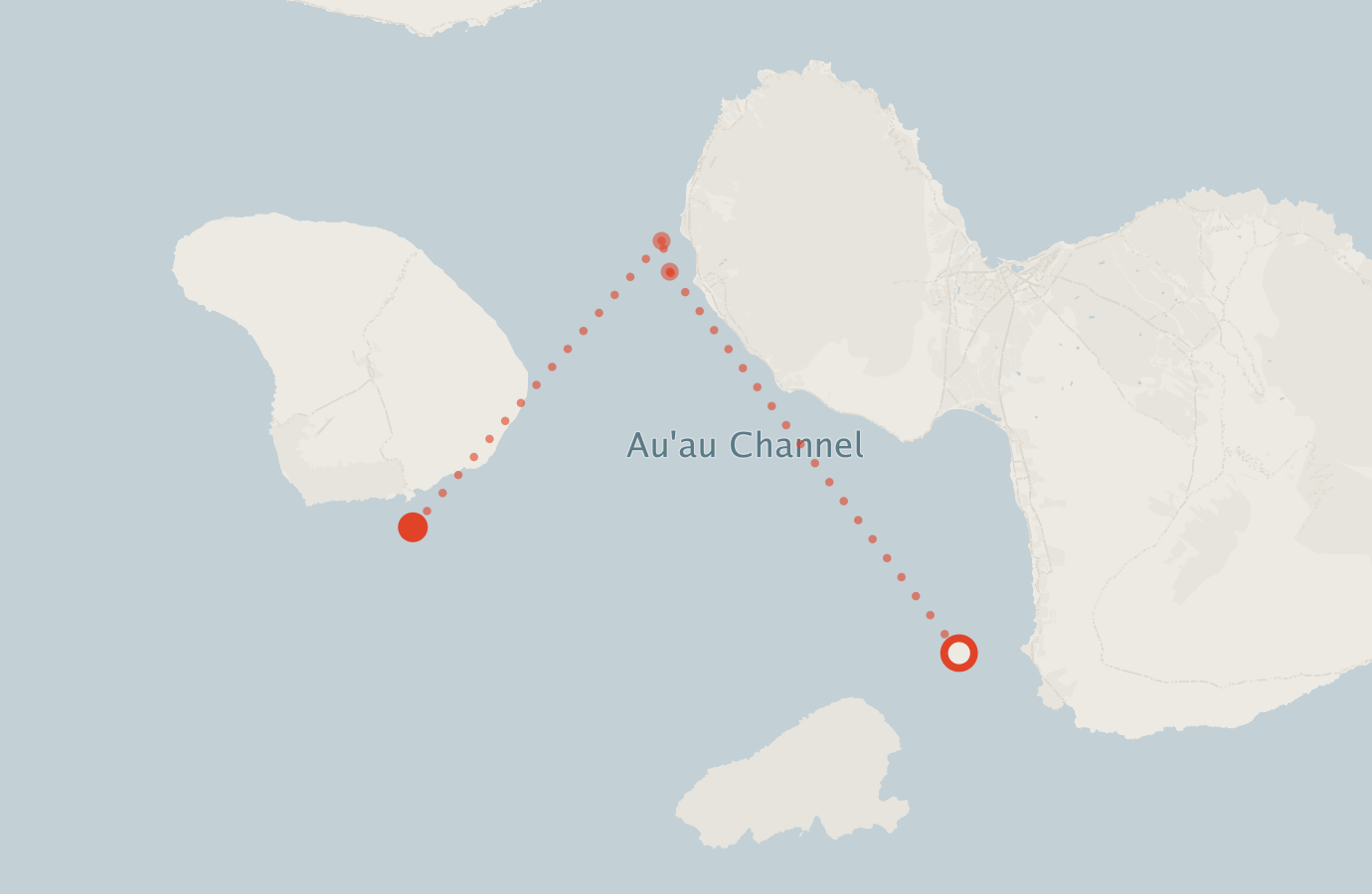 Activity map — real sighting points on an OpenStreetMap basemap