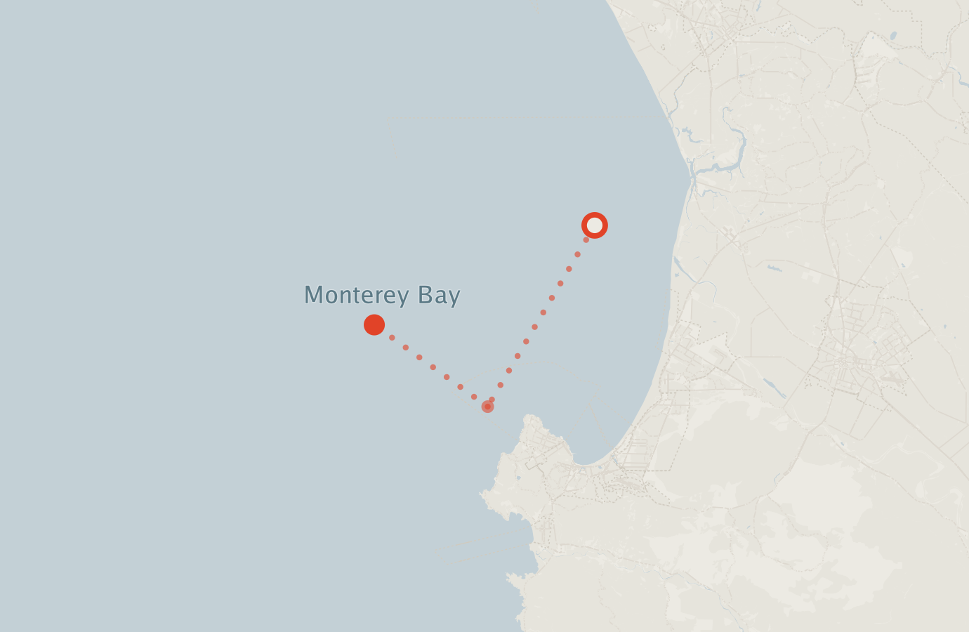Activity map — real sighting points on an OpenStreetMap basemap