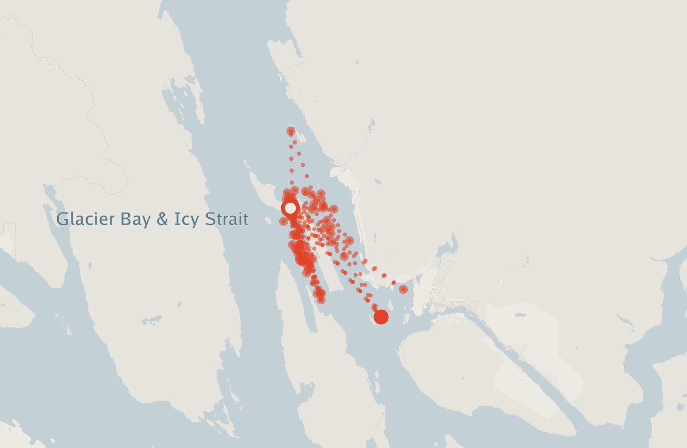 Activity map — real sighting points on an OpenStreetMap basemap