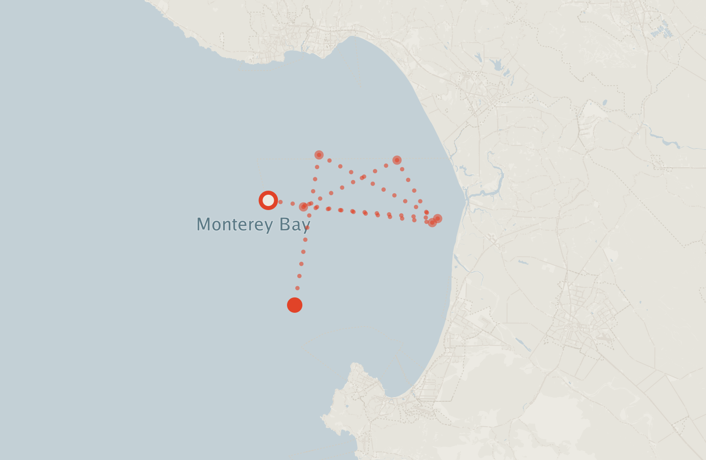 Activity map — real sighting points on an OpenStreetMap basemap