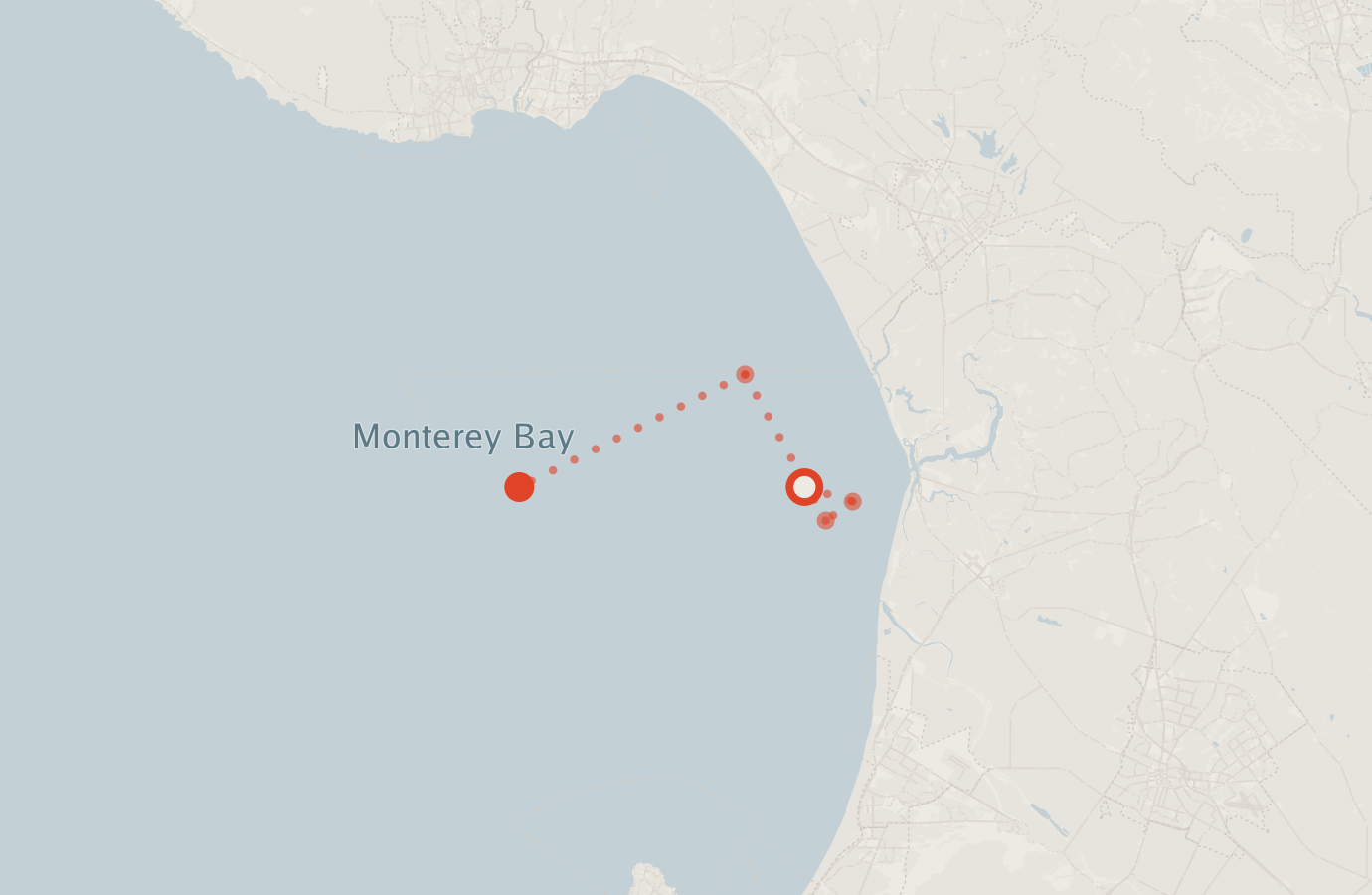 Activity map — real sighting points on an OpenStreetMap basemap
